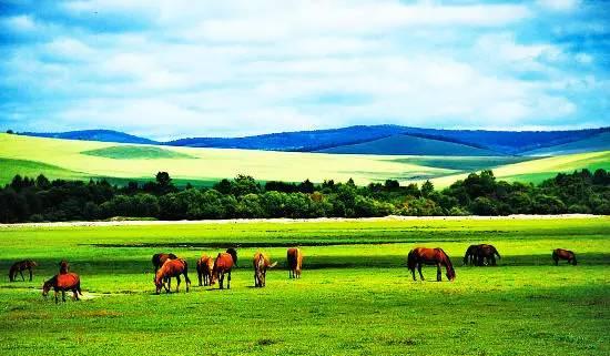 内蒙古深度旅行攻略,规划一次难忘的内蒙古之旅