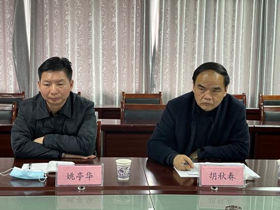 湖北地域发展的多维视角与某某观点深度探析