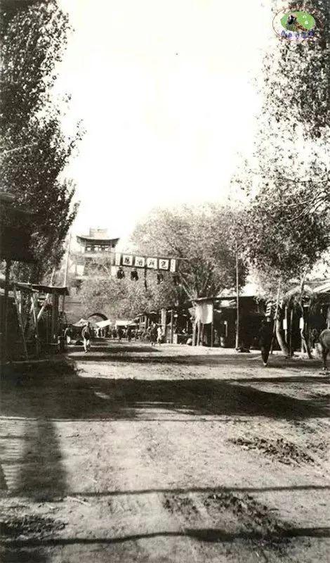 新疆,多彩边疆的魅力与独特风采